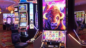 2666bet